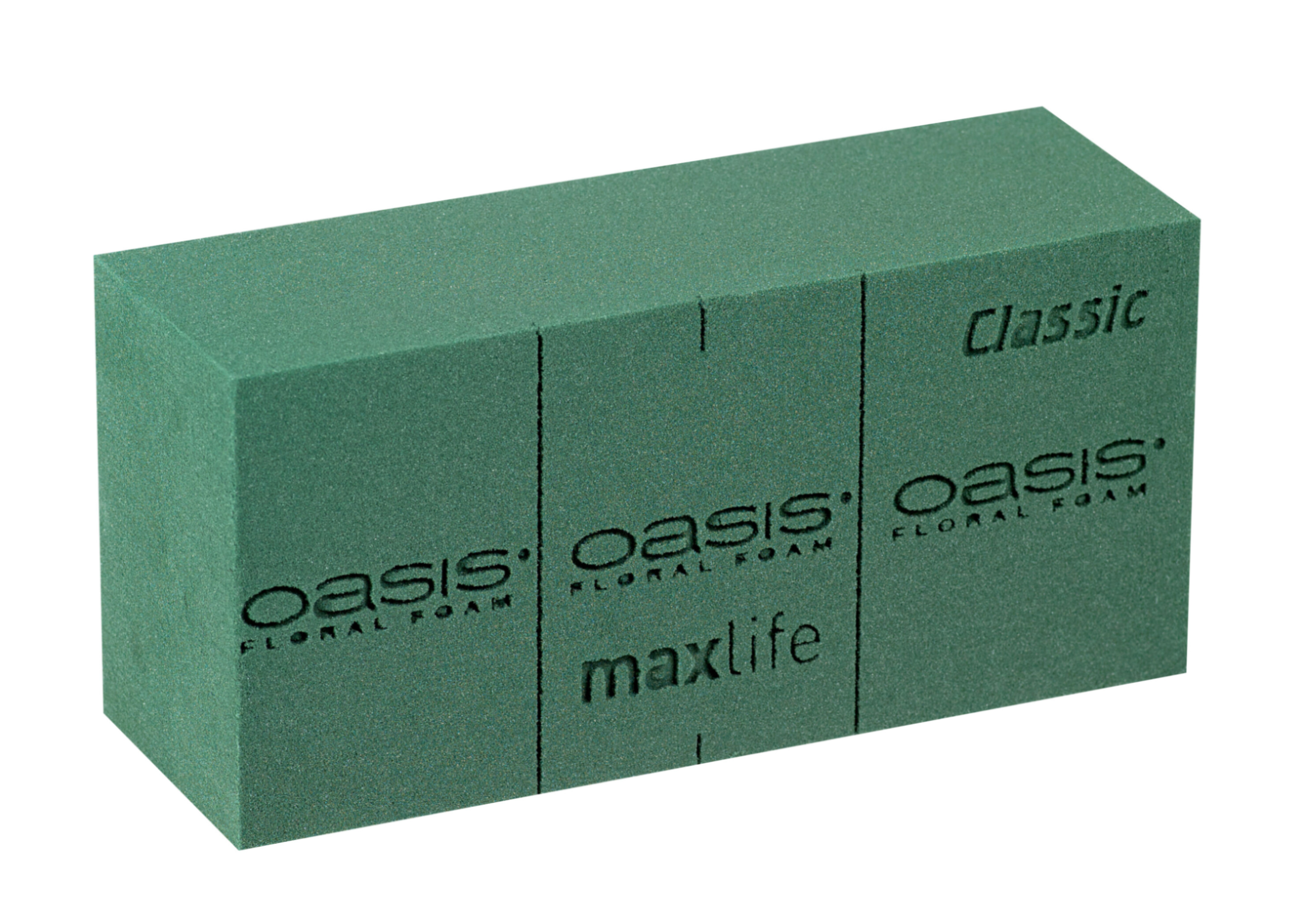 Oasis Flower Foam Classic Maxlife, 20pcs